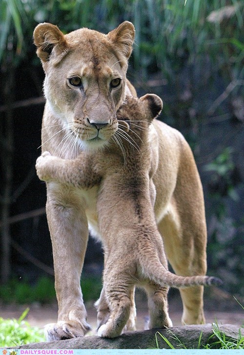 Mama Will Protect You