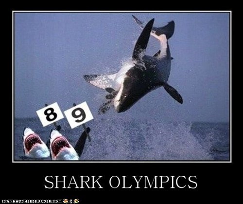 Shark Week Gets Competitive