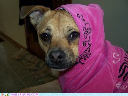 Reader Squee: Diva 