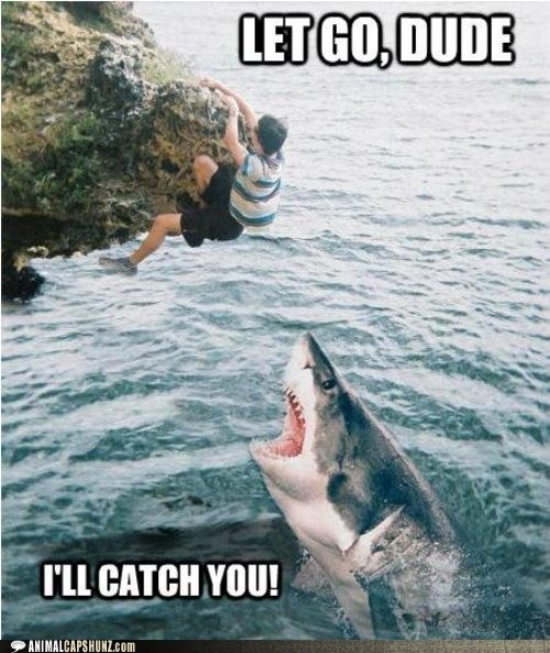 Animal Capshunz: You Can Trust Me