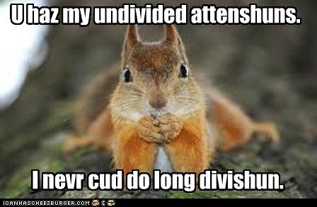 Squirrls Don Do Math!