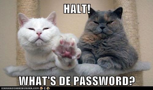 HALT!  
