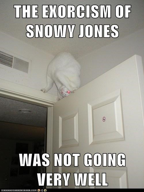 Lolcats: THE EXORCISM OF SNOWY JONES  
