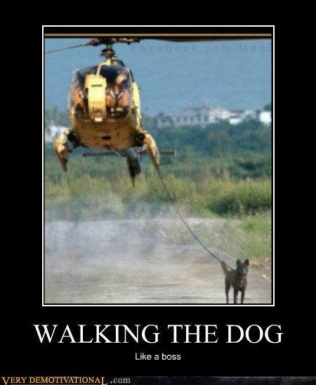 WALKING THE DOG