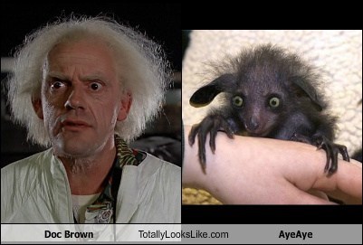 Christopher Lloyd (Doc Brown from Back to the Future) Totally Looks Like an Aye-Aye