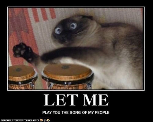 Oh No, Not the Bongos...