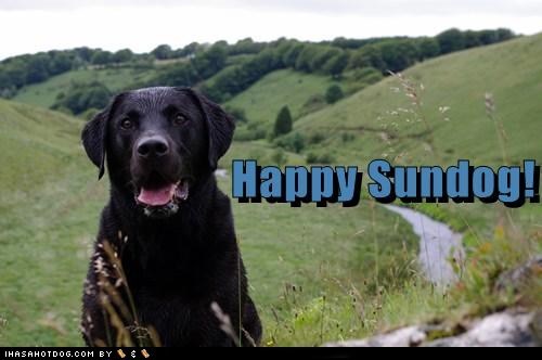 Happy Sundog! 
