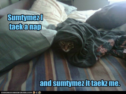 Sumtymez I taek a nap