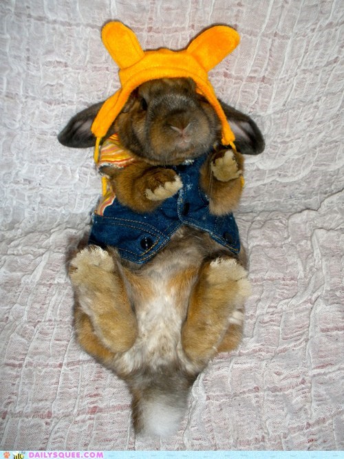 Bunday: My Sunshine 