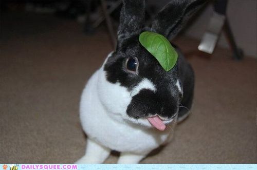 Bunday: So Close...