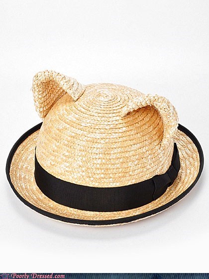 Poorly Dressed: Nyan Hat