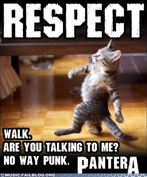 Walk On Home Cat