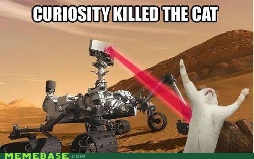 At Least He Finally Caught the Red Dot