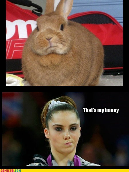 Unimpressed Bunny Is Not Impressed