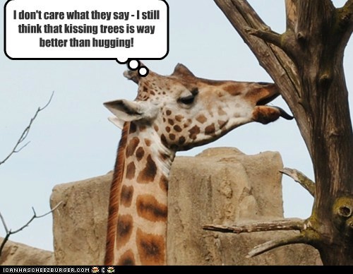 Environmentalist Giraffe