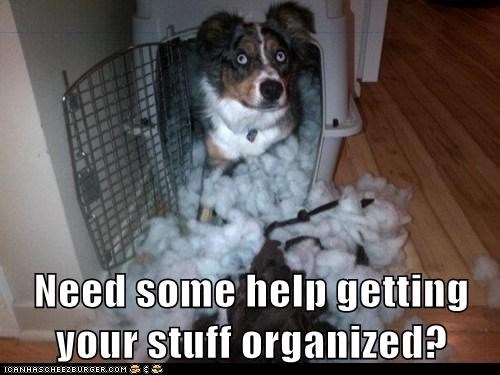 Organizer Goggie 