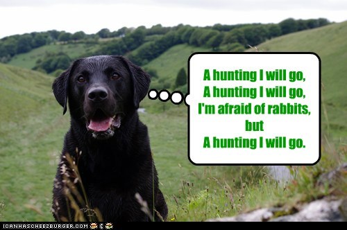 I'm afraid of rabbits...