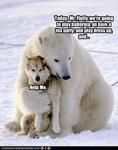 Of All the Polar Bears in the World...