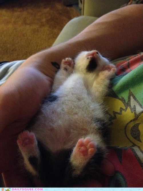 Reader Squee: Passed Out 