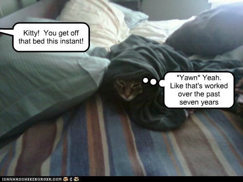 Lolcats: Kitty!  You get off that bed this instant!