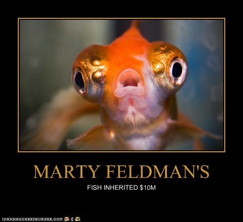 MARTY FELDMAN'S