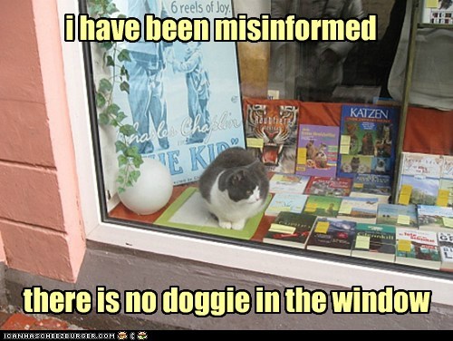Lolcats: All this time I've been staying away for nothing