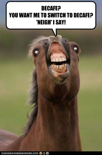 Animal Capshunz: You Hear Me? Neigh!