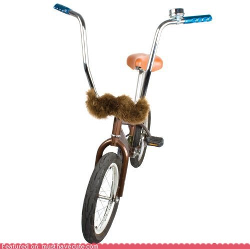 Bikestache