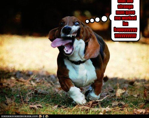 the pills that the strange  man gave me worked im happyyyyyyyyyyyyyyyyyyyyyyyy!!!