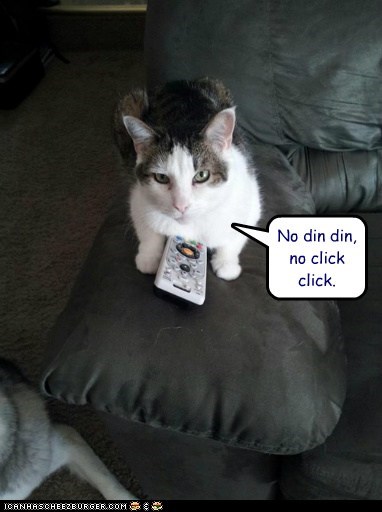Lolcats: Its that Simple.