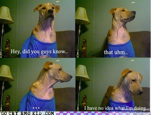 How Me a Dog Learned Tumblr