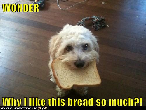 WONDER  Why I like this bread so much?!