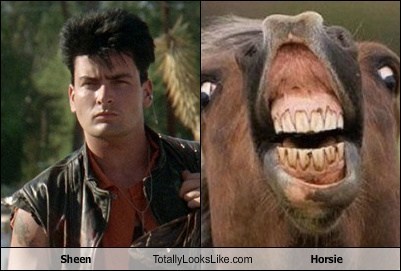Sheen Totally Looks Like Horsie