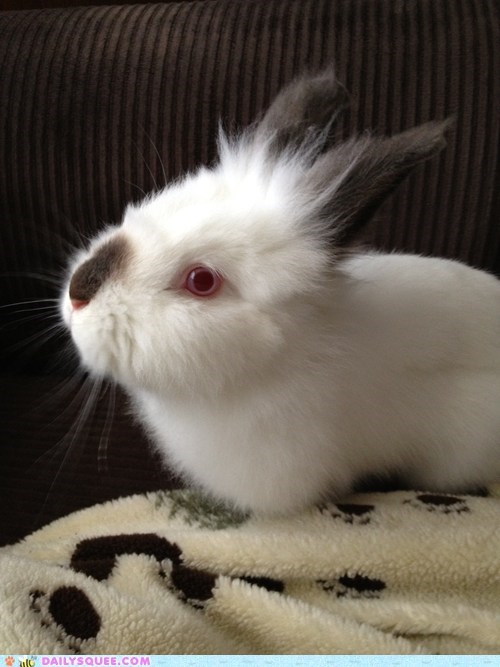 Reader Squee: Striking a Pose