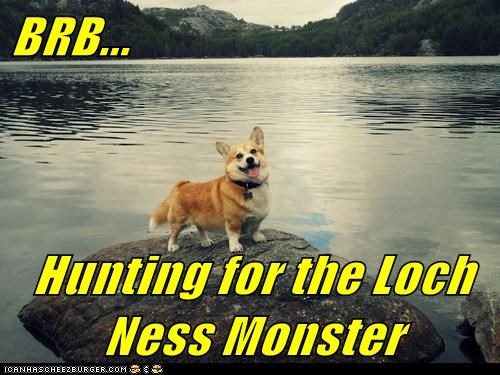 I Has A Hotdog: Hunting Nessy 