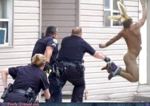 Silly Rabbit