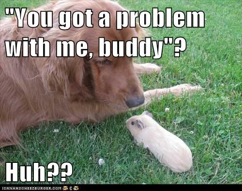 "You got a problem with me, buddy"?  Huh??