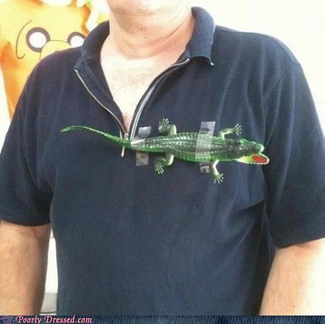 Seems Legit