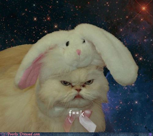 I Look Ridiculous
