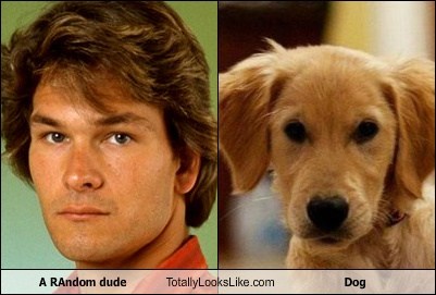 A RAndom dude Totally Looks Like Dog