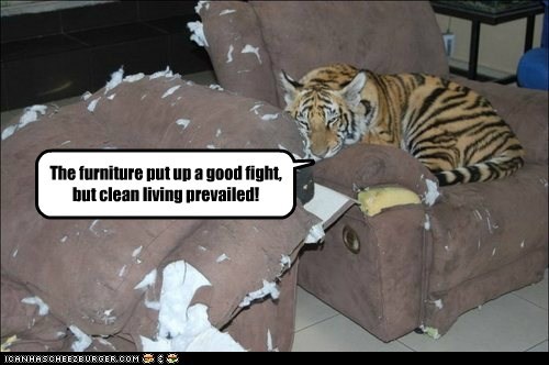 Animal Capshunz: I'd Like to Thank me Muddah...