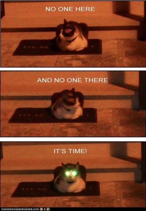 The End of the World is... NOW!