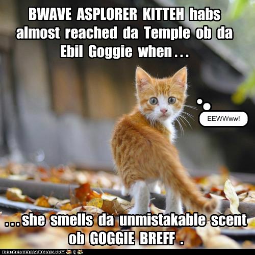 New Movie: BWAVE ASPLORER KITTEH an da Temple ob da Ebil Goggie