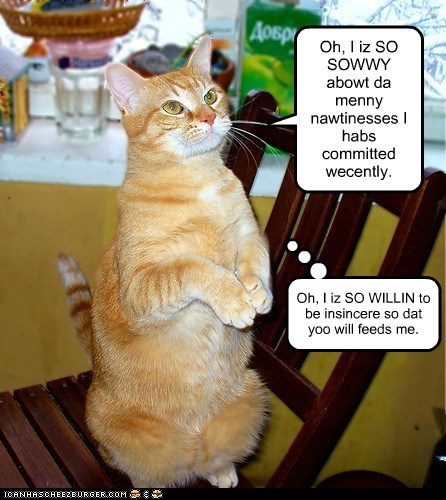 Kittehs: not above being a little manipulative.