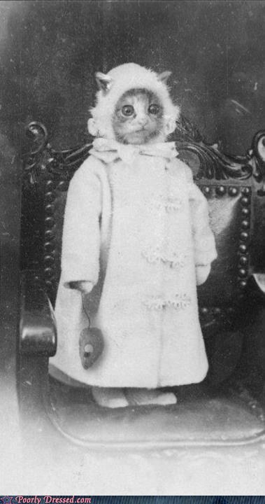 Cat Ladies in the Olden Days