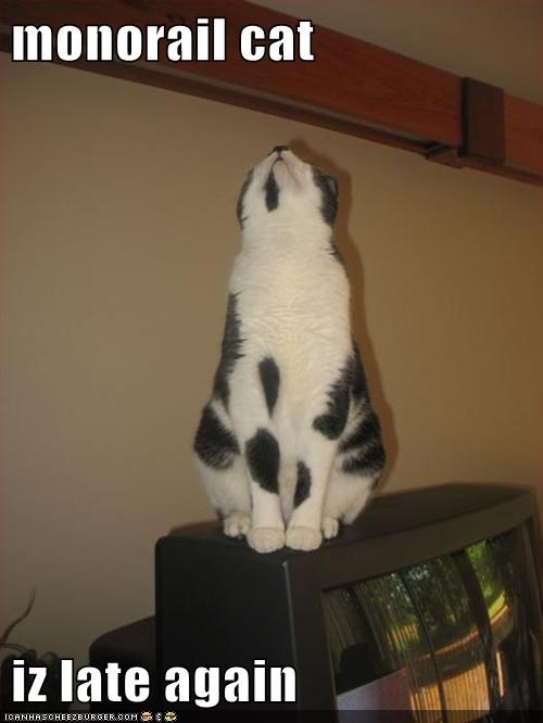 monorail cat  