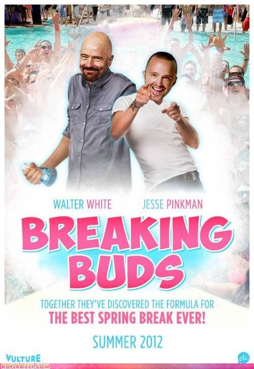 The Perfect Summer Buddy Film!
