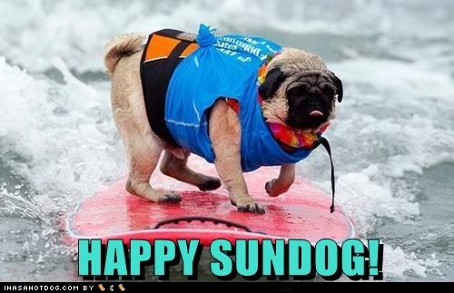 Happy Sundog! 