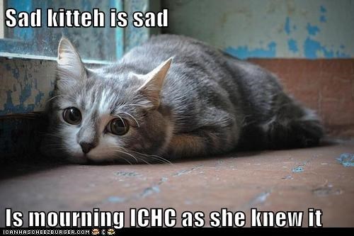 Sad kitteh is sad  Is mourning ICHC as she knew it