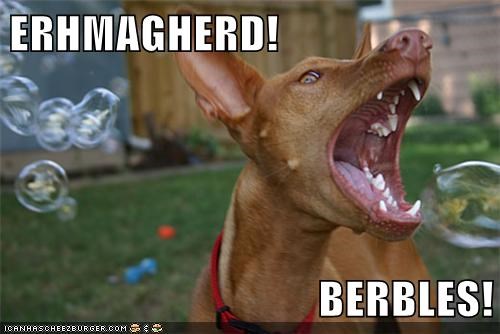 ERHMAGHERD!  BERBLES!